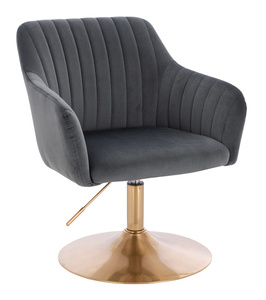HR190N Scaun Grafit din Catifea cu Bază Aurie