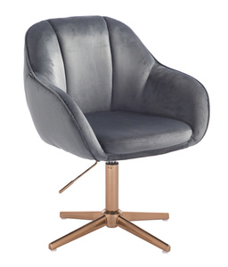 HR2055CROSS Scaun Grafit din Catifea cu Bază Aurie