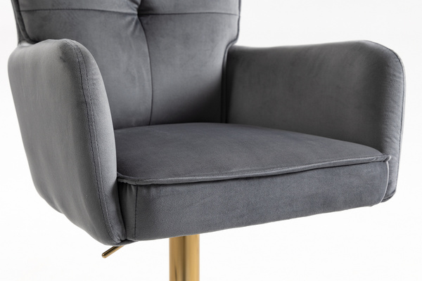 HR250W Scaun Catifea Grafit Bază Aurie