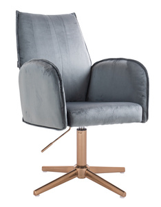 HR280CROSS Scaun Grafit  din Catifea cu Bază Aurie