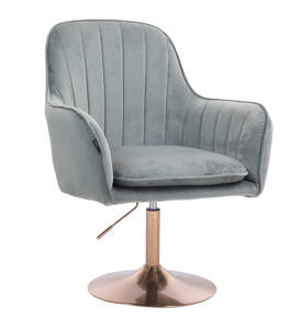 HR2022N Scaun Gray din Catifea Bază Aurie