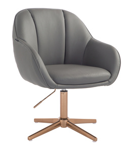 HR2055CROSS Scaun Gri din Piele Ecologica cu Bază Aurie